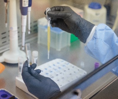 Gloved hands working with a pipette in a lab.