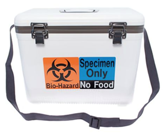 Biohazard in lunch box