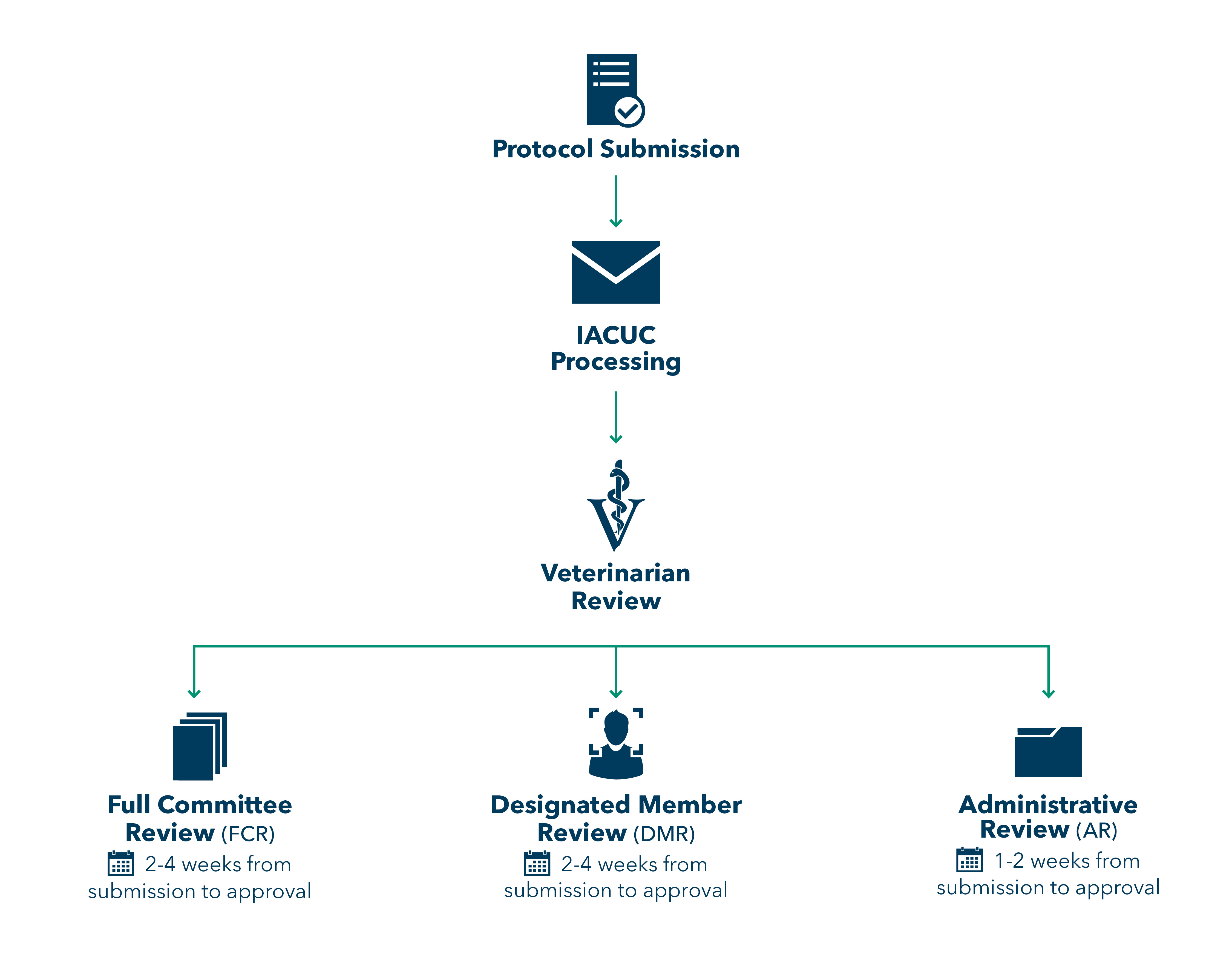 IACUC Submission and Review Timelines