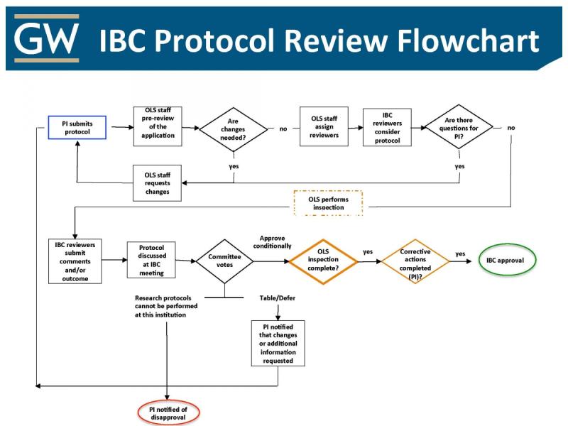 GW IBC Protocol Review Flowchart